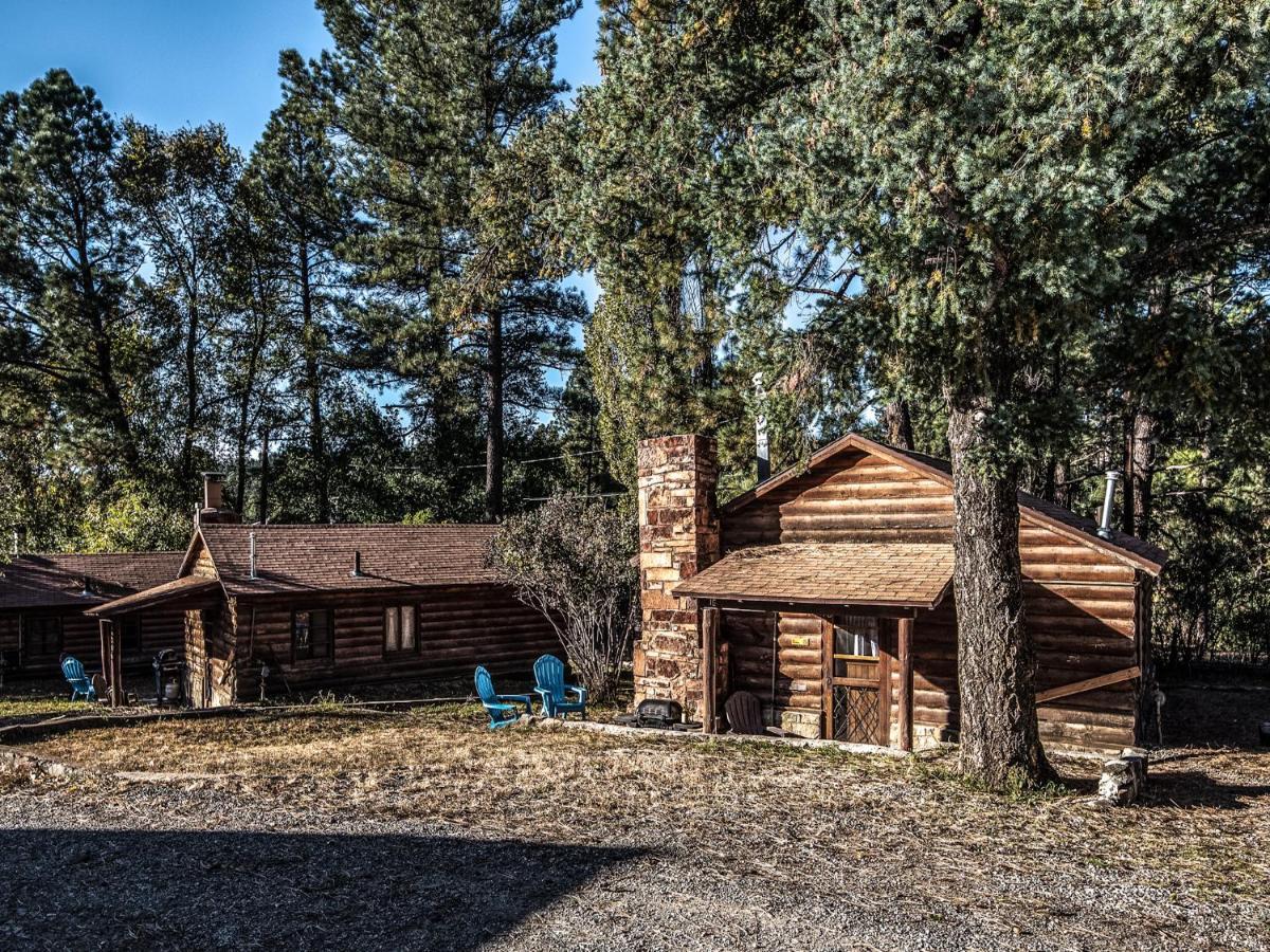 רואידוסו Destiny Cabin, 2 Bedrooms, Fireplace, Midtown, Sleeps 7 מראה חיצוני תמונה
