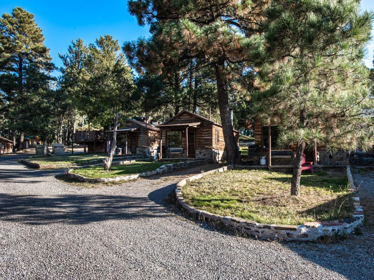 רואידוסו Destiny Cabin, 2 Bedrooms, Fireplace, Midtown, Sleeps 7 מראה חיצוני תמונה