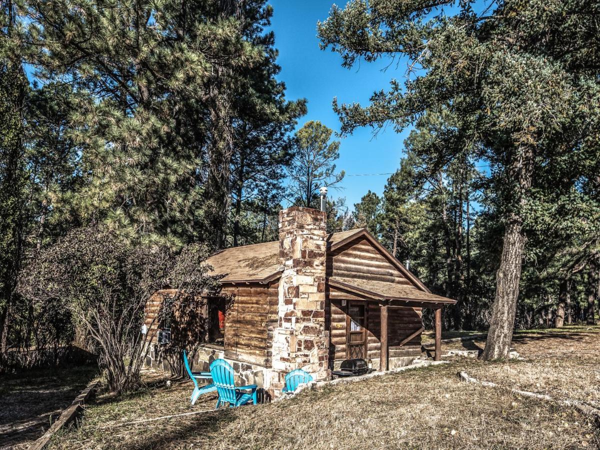 רואידוסו Destiny Cabin, 2 Bedrooms, Fireplace, Midtown, Sleeps 7 מראה חיצוני תמונה